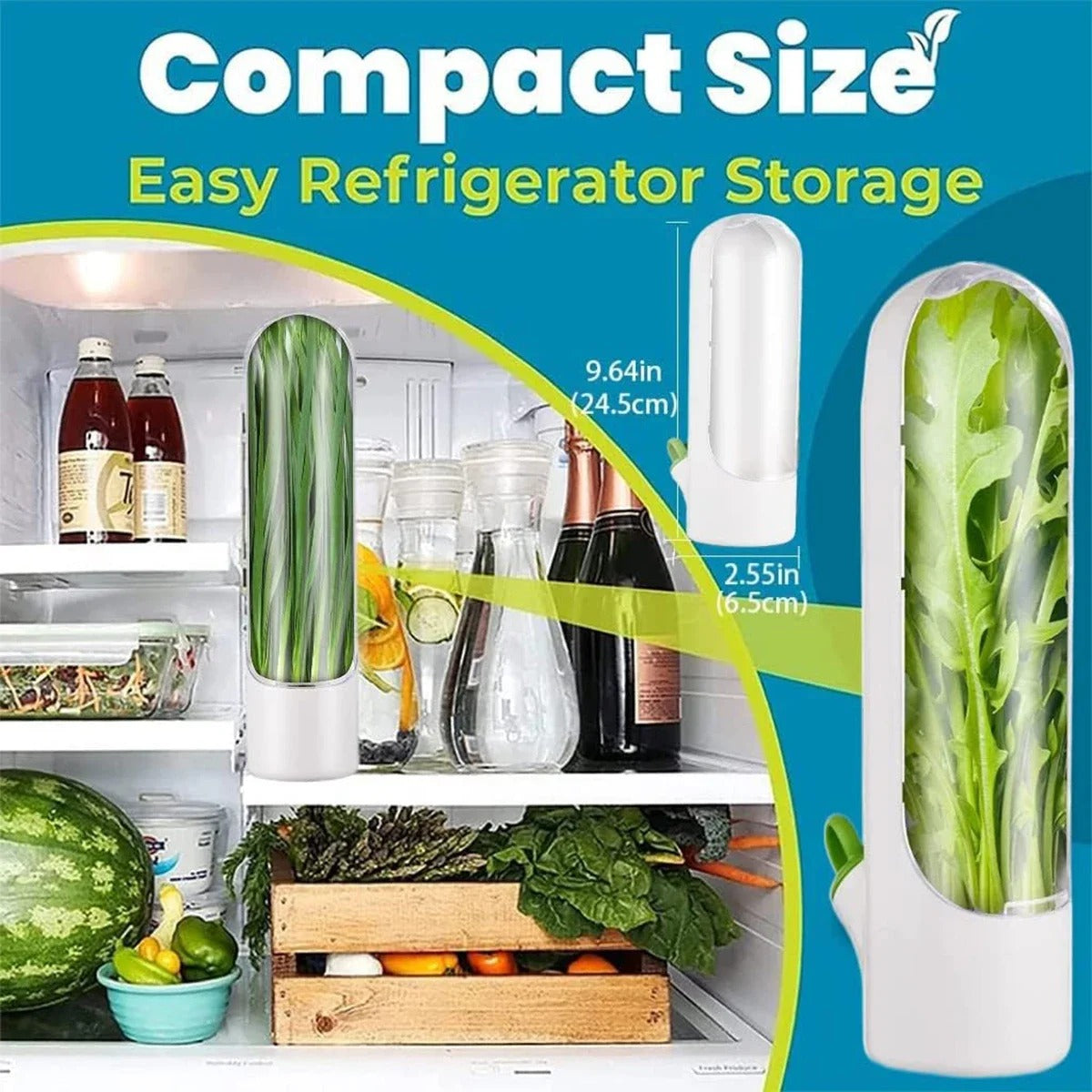 Herb Saver Storage Container – Premium Quality Fresh Herb Keeper